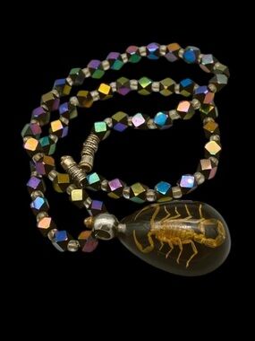Vintage Scorpion in Lucite Necklace